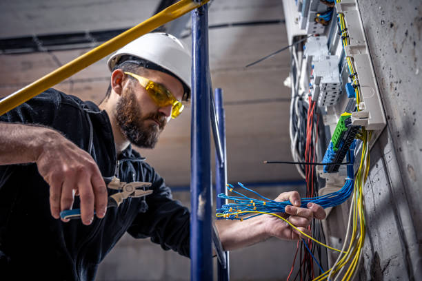 Best Electrician for Home Renovation  in Spring Valley Lake, CA